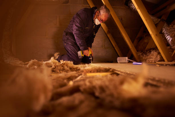 Best Eco-Friendly or Green Insulation Solutions  in Bellwood, VA